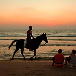 Mare شقة نازاريه